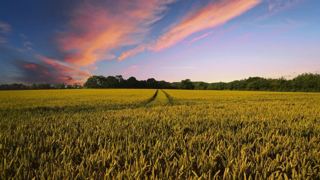 How a Small Equipment Change Can Produce Large Gains for Daily Operations and HACCP Compliance
