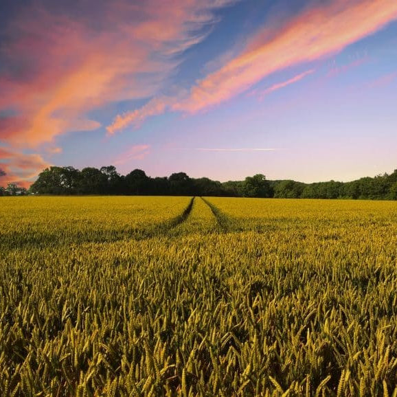 How a Small Equipment Change Can Produce Large Gains for Daily Operations and HACCP Compliance